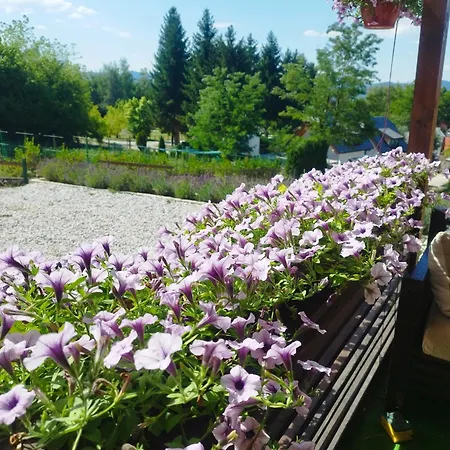 Apartament Perla